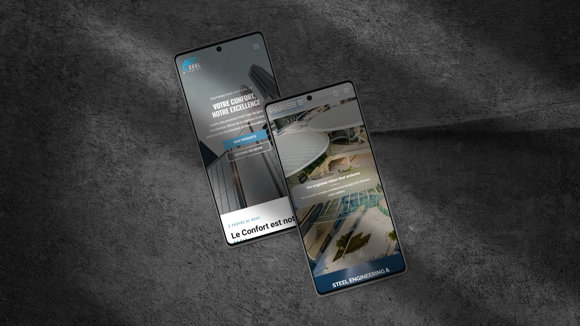 Professional website design by WebManor